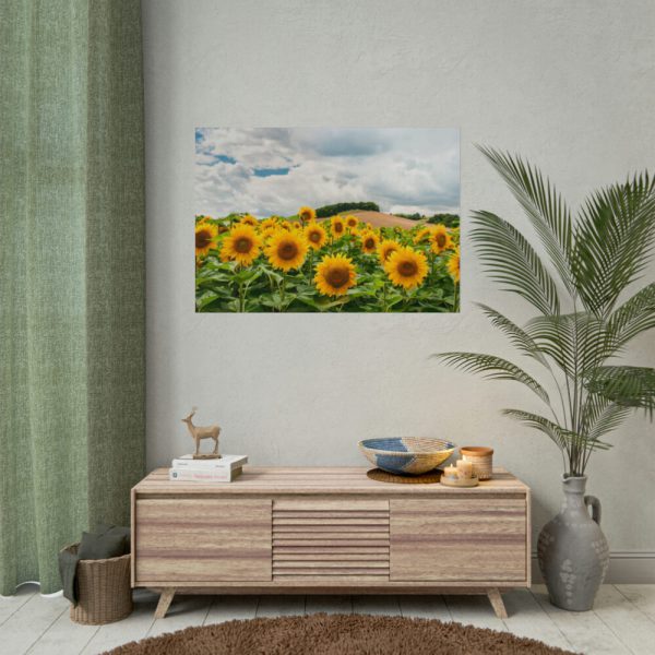 101875-318.jpg Agriculture Sunflower Poster