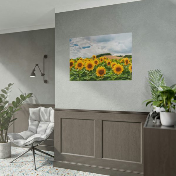 101875-319.jpg Agriculture Sunflower Poster