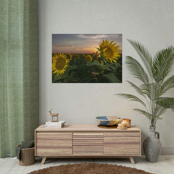 101875-323.jpg Sunflower Plant Flower Poster