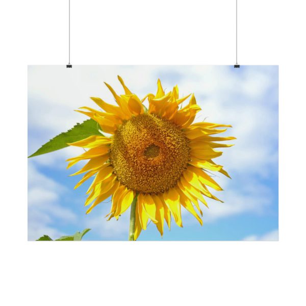 Farming Yellow Flowers  Poster