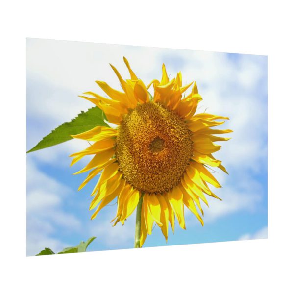 Farming Yellow Flowers  Poster