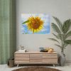 Farming Yellow Flowers  Poster