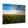 101875-357.jpg Meadow Poster