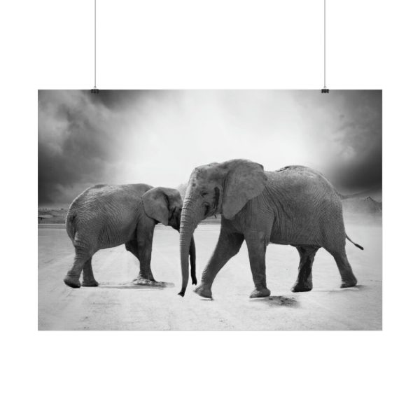 101875-371.jpg Elephant Ivory Animals Africa Poster
