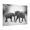 101875-372.jpg Elephant Ivory Animals Africa Poster