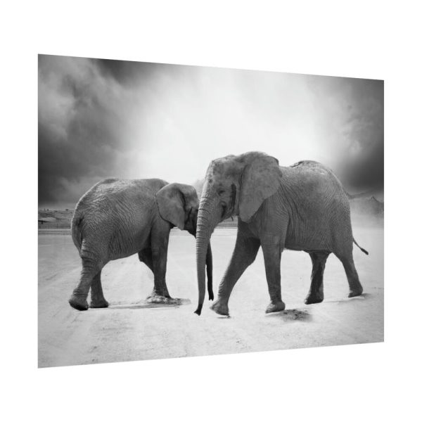 101875-372.jpg Elephant Ivory Animals Africa Poster