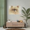101875-38.jpg Angry Persian Cat Poster