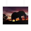 Elephant and Sunset in Africa Poster