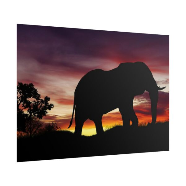 Elephant and Sunset in Africa Poster