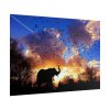101875-392.jpg Elephants and Birds in the Nature Poster