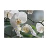 White Orchid Poster