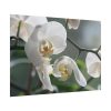 White Orchid Poster