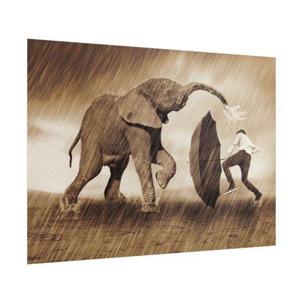 101875-422.jpg Elephant Play on the Rain with Umbrella Poster