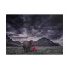 101875-425.jpg Elephant and Child Friendship Poster