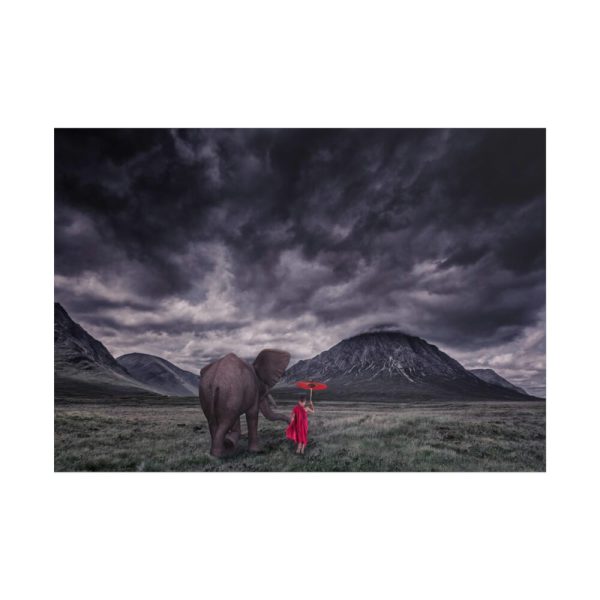 101875-425.jpg Elephant and Child Friendship Poster