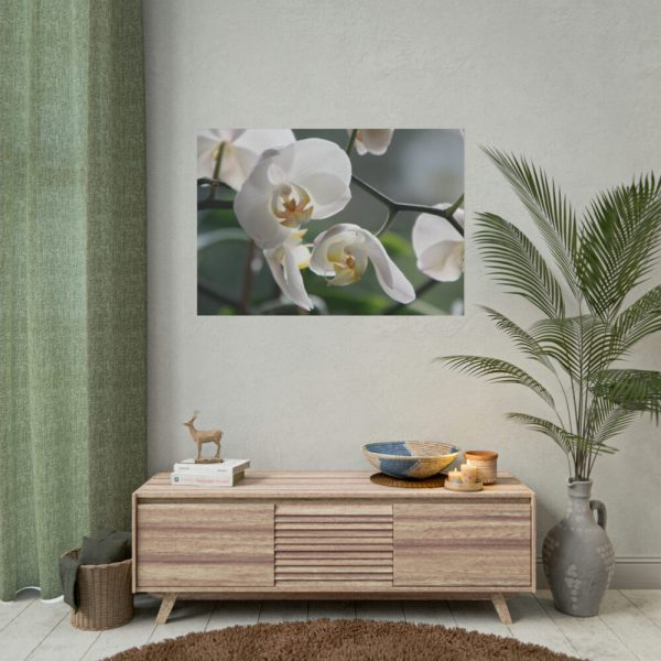 White Orchid Poster