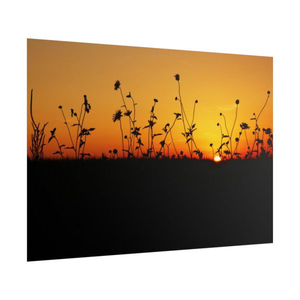 Sunset Poster