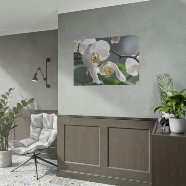 White Orchid Poster