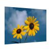 101875-467.jpg Blue Sky and Sunflower Poster