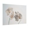 Beautiful White Orchid Poster