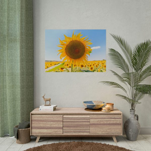 101875-488.jpg Sunflower Summer Poster