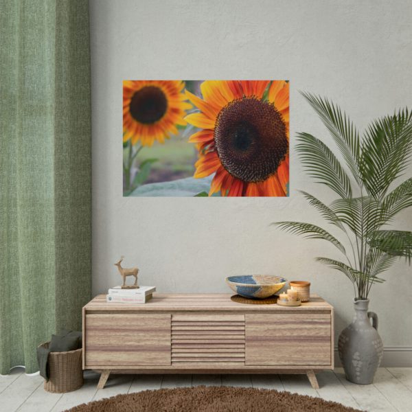 101875-493.jpg Colorful Orange Sunflower Poster