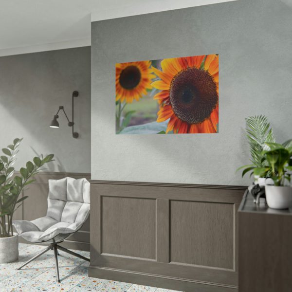 101875-494.jpg Colorful Orange Sunflower Poster