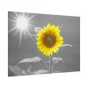 101875-497.jpg Beauty Sunflower Poster