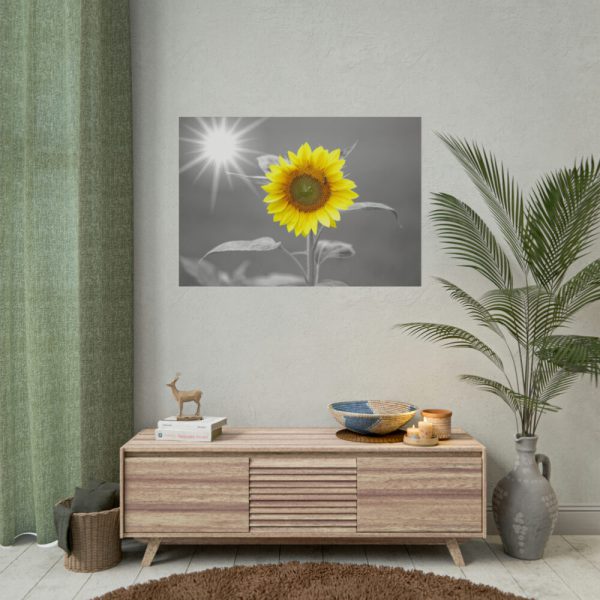 101875-498.jpg Beauty Sunflower Poster