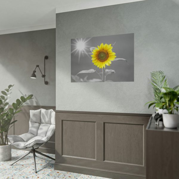 101875-499.jpg Beauty Sunflower Poster