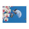 Humming Birds Poster