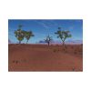 101875-505.jpg Desert in Africa Poster