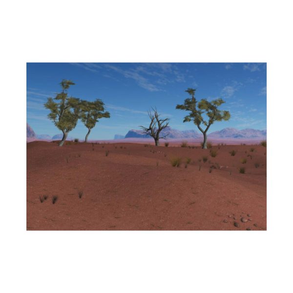 101875-505.jpg Desert in Africa Poster