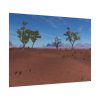 101875-507.jpg Desert in Africa Poster