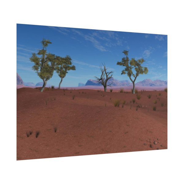 101875-507.jpg Desert in Africa Poster