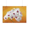 Orchid Plant Flower Poster