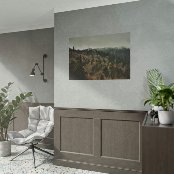 101875-534.jpg Forest Nature Poster