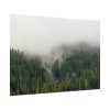 101875-537.jpg Forest in Fog Poster