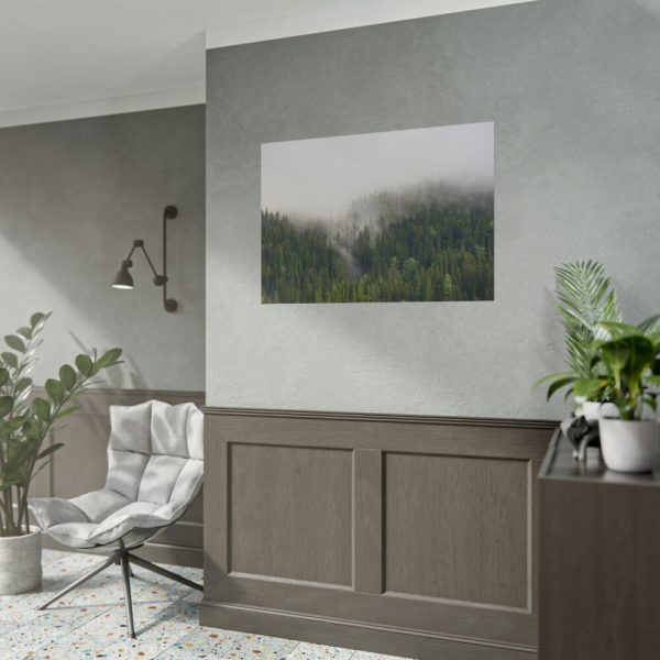 101875-539.jpg Forest in Fog Poster