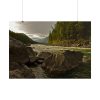 101875-541.jpg Creek River in the Forest Poster