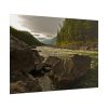 101875-542.jpg Creek River in the Forest Poster