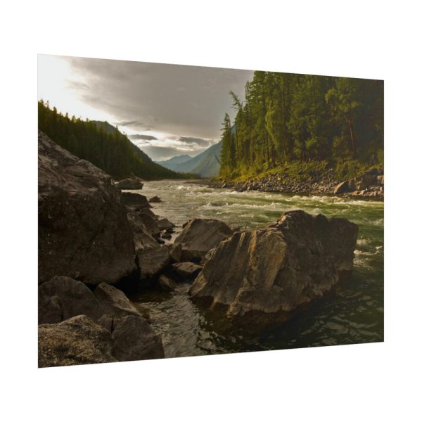 101875-542.jpg Creek River in the Forest Poster