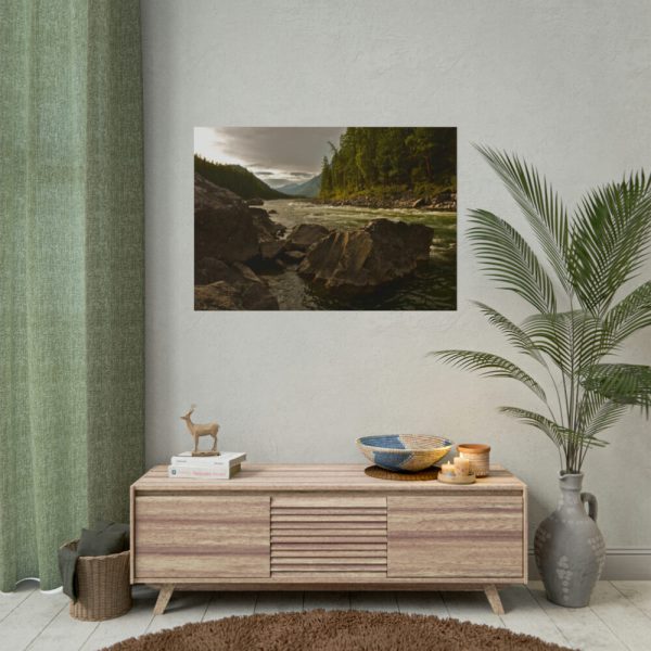 101875-543.jpg Creek River in the Forest Poster