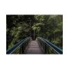 101875-565.jpg Bridge in the Forest Poster