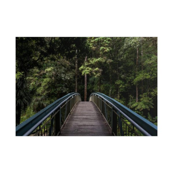 101875-565.jpg Bridge in the Forest Poster