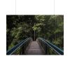 101875-566.jpg Bridge in the Forest Poster
