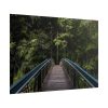 101875-567.jpg Bridge in the Forest Poster