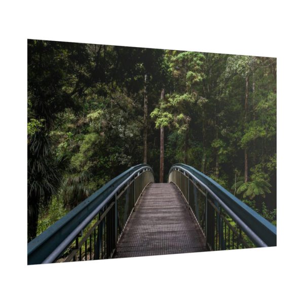 101875-567.jpg Bridge in the Forest Poster
