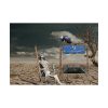 101875-580.jpg Composing Metro Desert Grim Poster