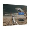 101875-582.jpg Composing Metro Desert Grim Poster